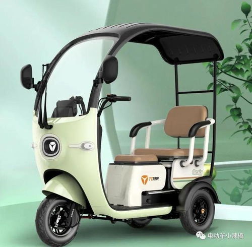 無需駕照，雅迪愛瑪新款接娃小三輪 3人座駕，續航百公里電動防爆車